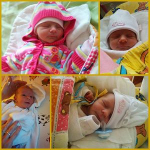 Něžné ptáčátko