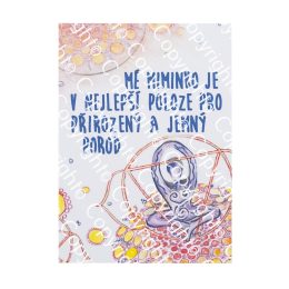 Afirmační karta 12